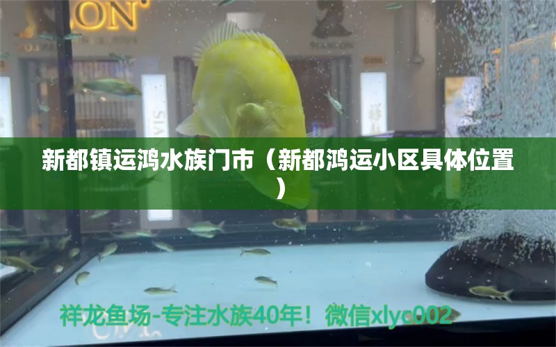 新都镇运鸿水族门市（新都鸿运小区具体位置）