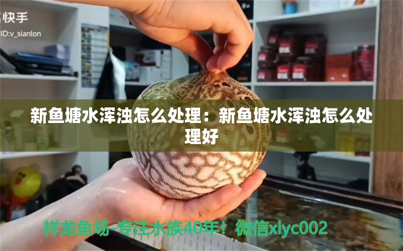 新鱼塘水浑浊怎么处理：新鱼塘水浑浊怎么处理好 虎鱼百科