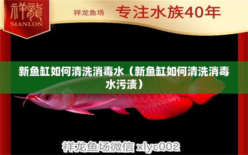 新鱼缸如何清洗消毒水（新鱼缸如何清洗消毒水污渍） 祥龙水族医院