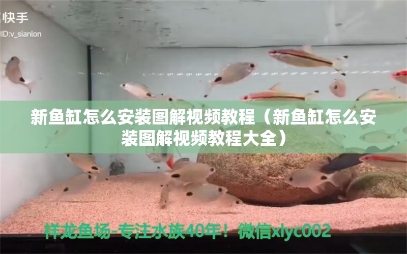 新鱼缸怎么安装图解视频教程（新鱼缸怎么安装图解视频教程大全）