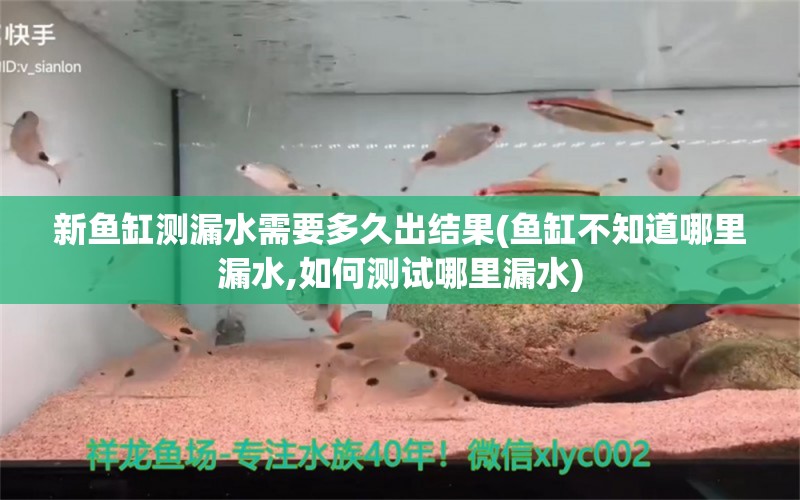 新鱼缸测漏水需要多久出结果(鱼缸不知道哪里漏水,如何测试哪里漏水) 七彩神仙鱼 第1张