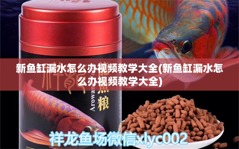 新鱼缸漏水怎么办视频教学大全(新鱼缸漏水怎么办视频教学大全)