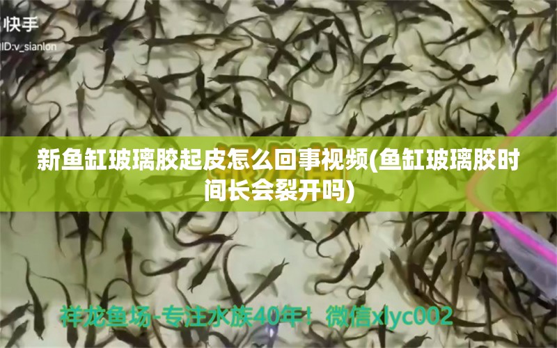 新鱼缸玻璃胶起皮怎么回事视频(鱼缸玻璃胶时间长会裂开吗)