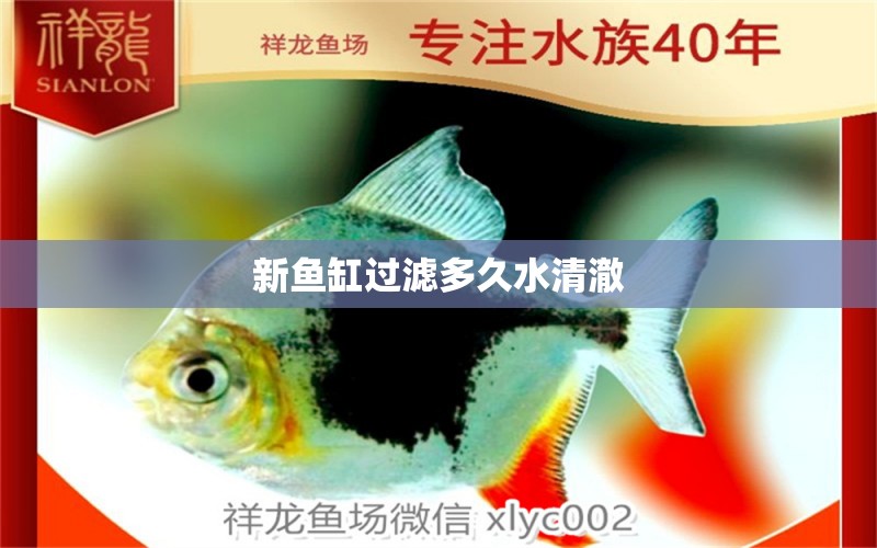 新鱼缸过滤多久水清澈 水族问答