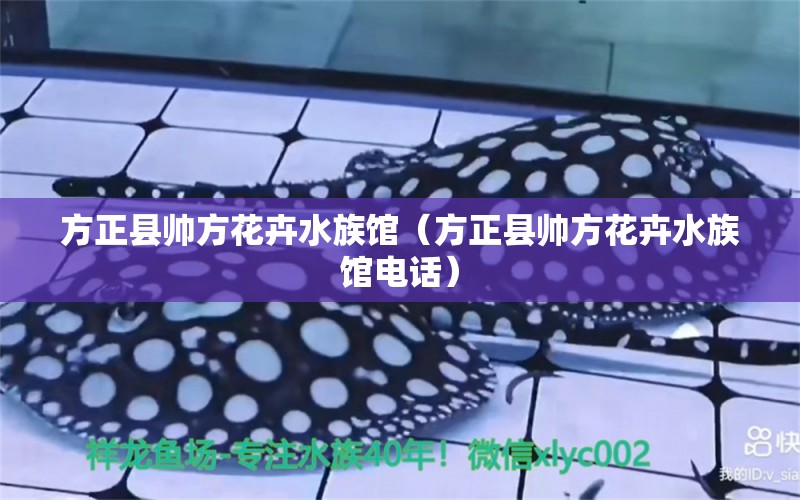 方正县帅方花卉水族馆（方正县帅方花卉水族馆电话） 全国水族馆企业名录