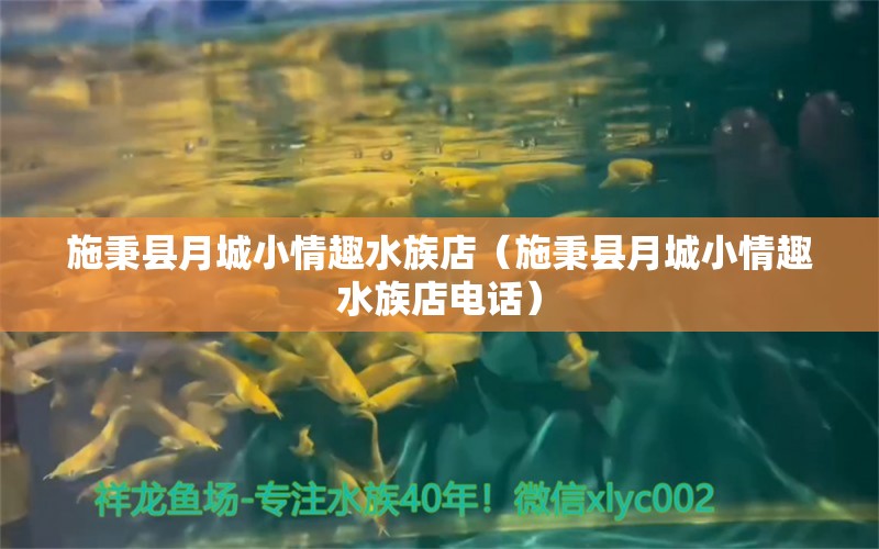 施秉县月城小情趣水族店（施秉县月城小情趣水族店电话）