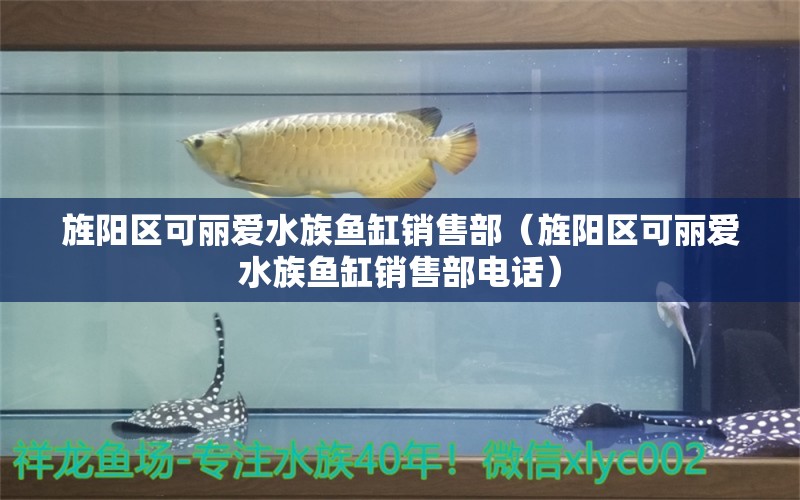 旌阳区可丽爱水族鱼缸销售部（旌阳区可丽爱水族鱼缸销售部电话） 全国水族馆企业名录