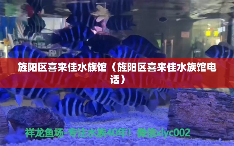 旌阳区喜来佳水族馆（旌阳区喜来佳水族馆电话） 全国水族馆企业名录