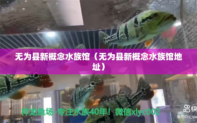 无为县新概念水族馆（无为县新概念水族馆地址） 全国水族馆企业名录