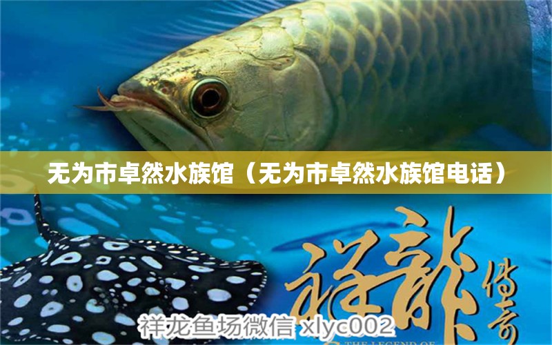 无为市卓然水族馆（无为市卓然水族馆电话）