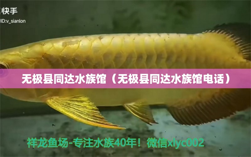 无极县同达水族馆（无极县同达水族馆电话） 全国水族馆企业名录