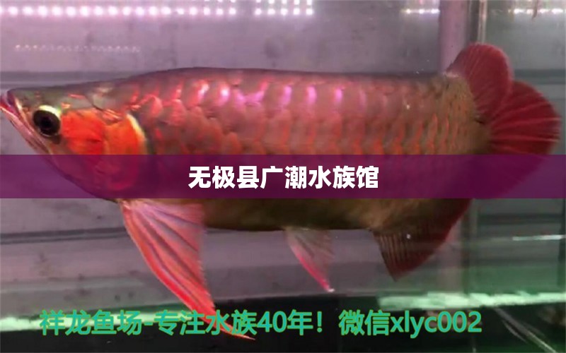 无极县广潮水族馆