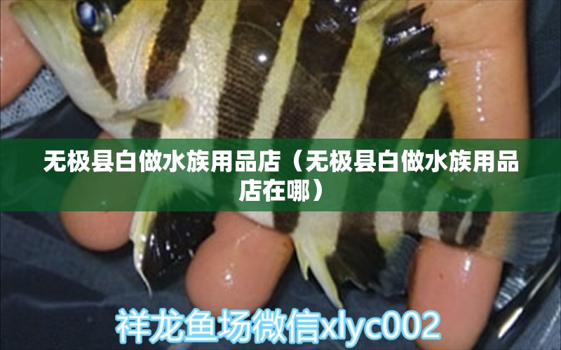 无极县白做水族用品店（无极县白做水族用品店在哪）