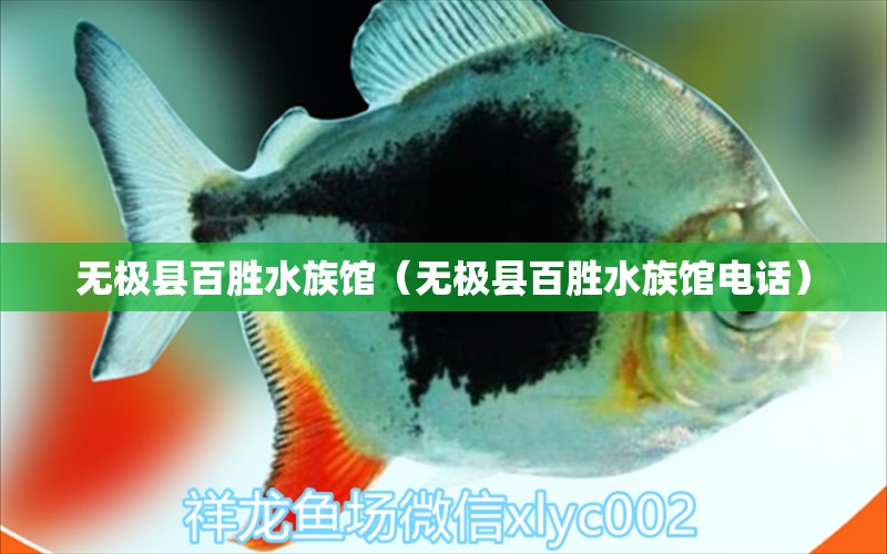 无极县百胜水族馆（无极县百胜水族馆电话）