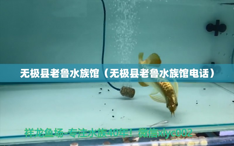 无极县老鲁水族馆（无极县老鲁水族馆电话）