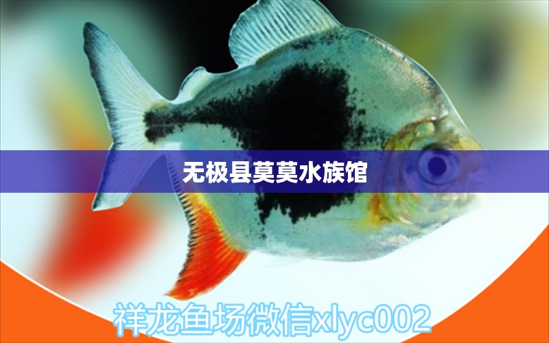 无极县莫莫水族馆 全国水族馆企业名录