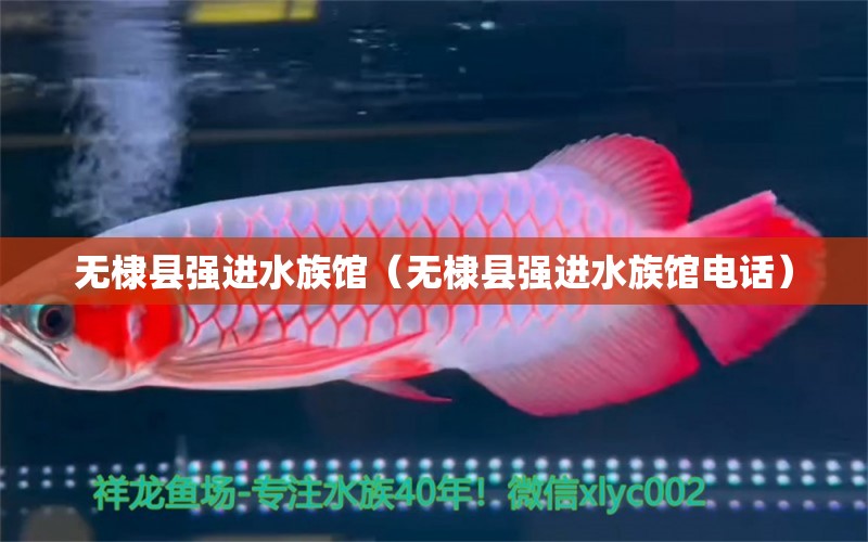 无棣县强进水族馆（无棣县强进水族馆电话）