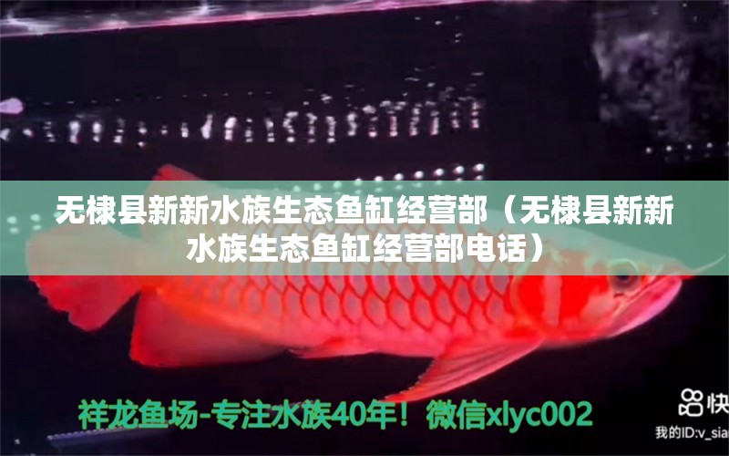 无棣县新新水族生态鱼缸经营部（无棣县新新水族生态鱼缸经营部电话） 全国水族馆企业名录