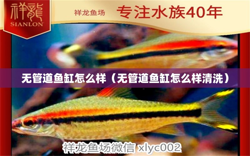 无管道鱼缸怎么样（无管道鱼缸怎么样清洗） 祥龙水族医院