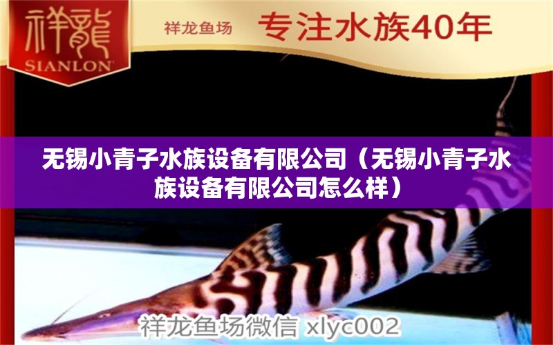 无锡小青子水族设备有限公司（无锡小青子水族设备有限公司怎么样） 全国水族馆企业名录