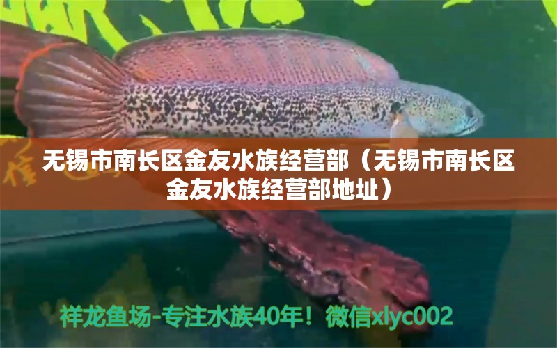 无锡市南长区金友水族经营部（无锡市南长区金友水族经营部地址） 全国水族馆企业名录