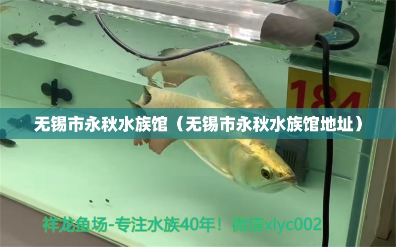 无锡市永秋水族馆（无锡市永秋水族馆地址） 全国水族馆企业名录