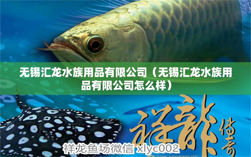 无锡汇龙水族用品有限公司（无锡汇龙水族用品有限公司怎么样）