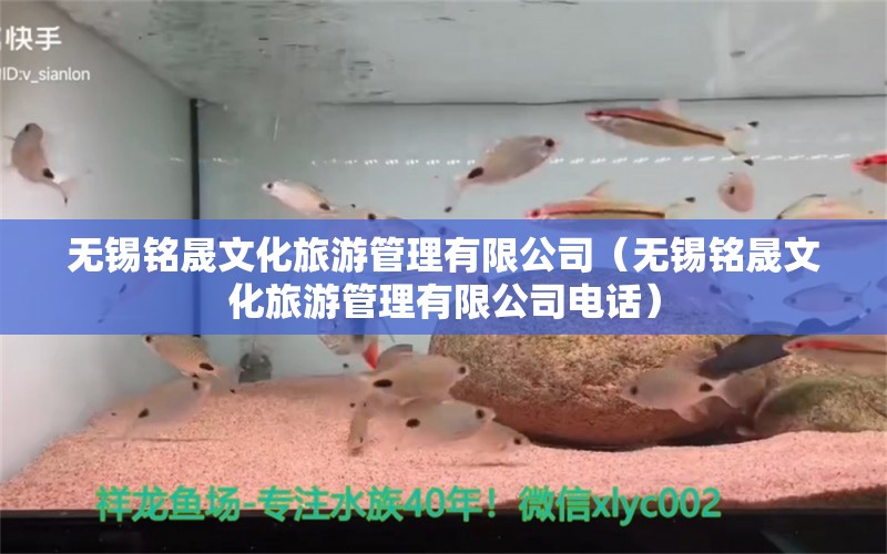 无锡铭晟文化旅游管理有限公司（无锡铭晟文化旅游管理有限公司电话）