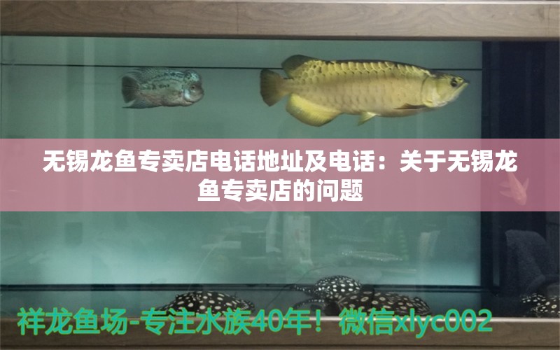 无锡龙鱼专卖店电话地址及电话：关于无锡龙鱼专卖店的问题 水族问答 第1张