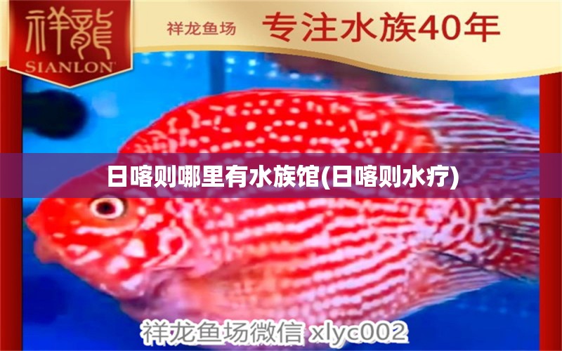 日喀则哪里有水族馆(日喀则水疗) 黑云鱼