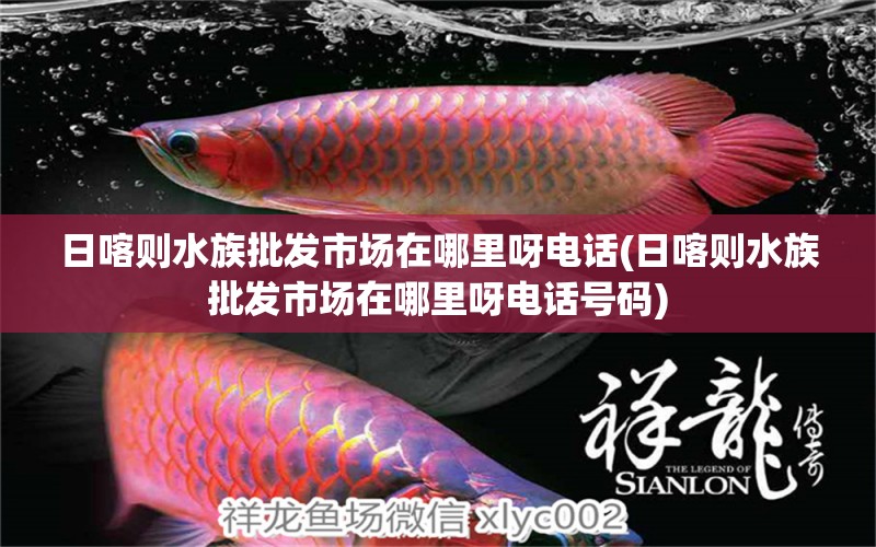 日喀则水族批发市场在哪里呀电话(日喀则水族批发市场在哪里呀电话号码)