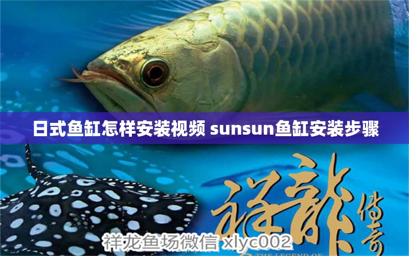 日式鱼缸怎样安装视频 sunsun鱼缸安装步骤