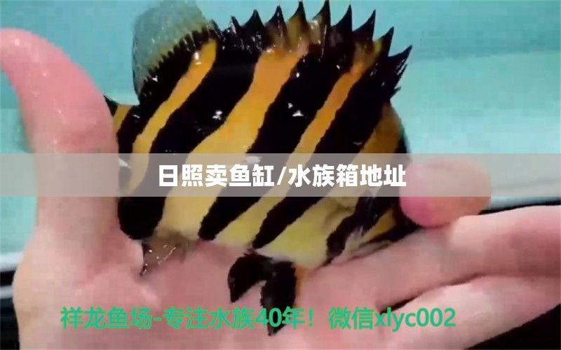 日照卖鱼缸/水族箱地址 鱼缸/水族箱