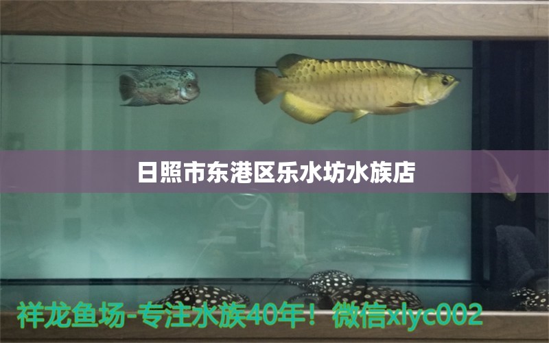 日照市东港区乐水坊水族店