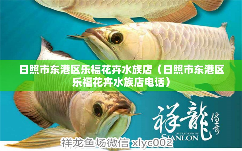 日照市东港区乐福花卉水族店（日照市东港区乐福花卉水族店电话）