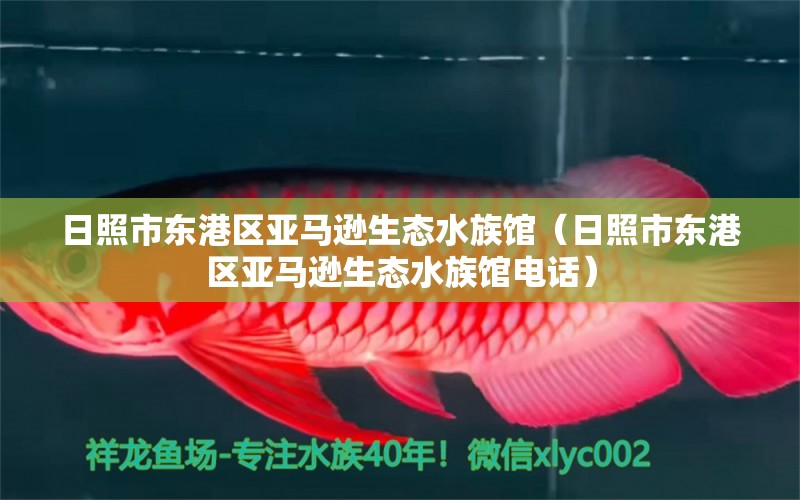 日照市东港区亚马逊生态水族馆（日照市东港区亚马逊生态水族馆电话） 全国水族馆企业名录