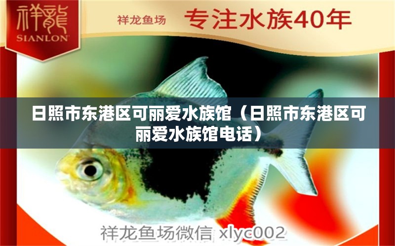 日照市东港区可丽爱水族馆（日照市东港区可丽爱水族馆电话） 全国水族馆企业名录