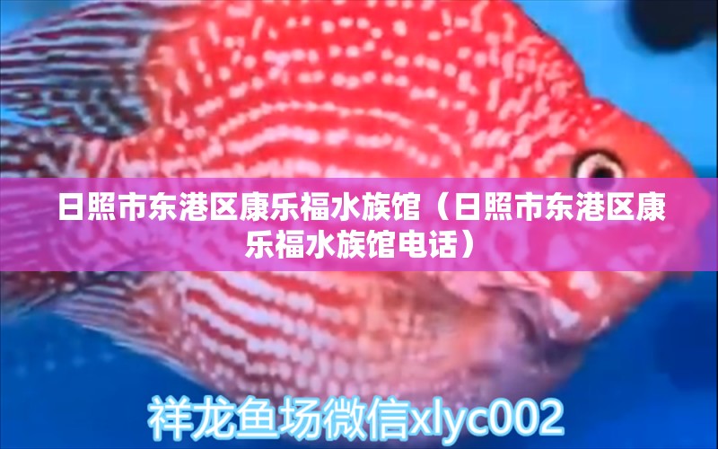 日照市东港区康乐福水族馆（日照市东港区康乐福水族馆电话） 全国水族馆企业名录