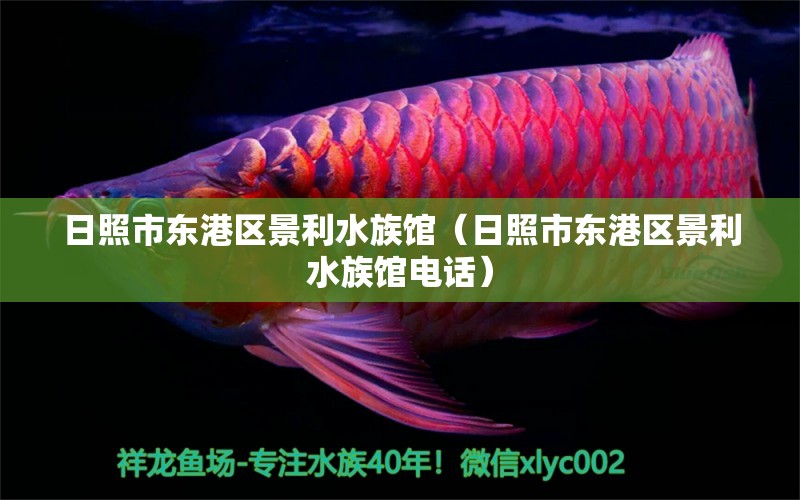 日照市东港区景利水族馆（日照市东港区景利水族馆电话）