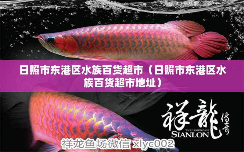 日照市东港区水族百货超市（日照市东港区水族百货超市地址）