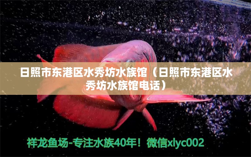 日照市东港区水秀坊水族馆（日照市东港区水秀坊水族馆电话）