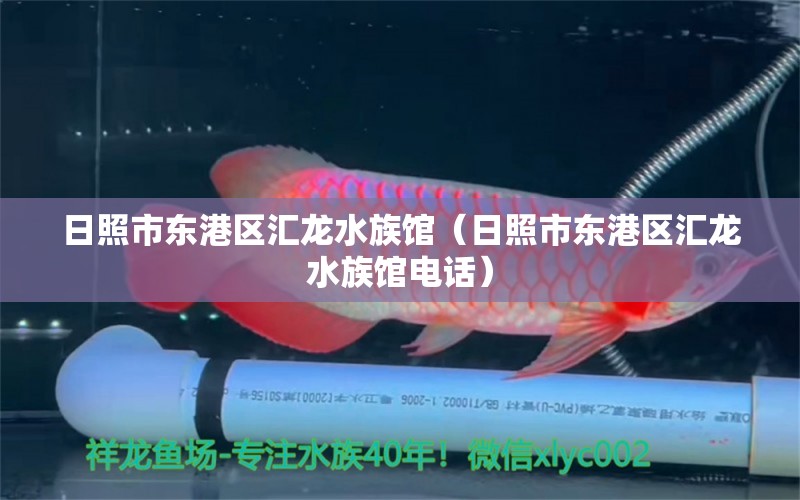 日照市东港区汇龙水族馆（日照市东港区汇龙水族馆电话） 全国水族馆企业名录