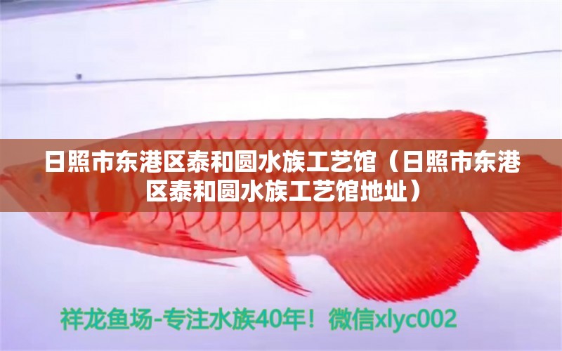 日照市东港区泰和圆水族工艺馆（日照市东港区泰和圆水族工艺馆地址） 全国水族馆企业名录