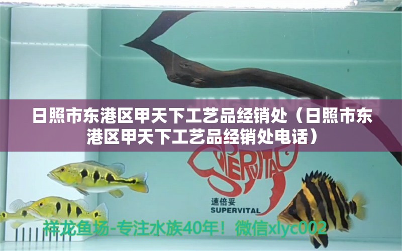 日照市东港区甲天下工艺品经销处（日照市东港区甲天下工艺品经销处电话） 全国水族馆企业名录