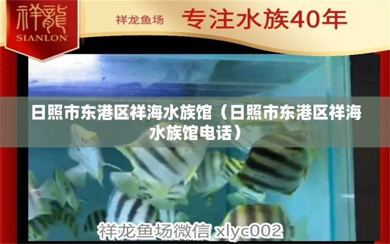 日照市东港区祥海水族馆（日照市东港区祥海水族馆电话） 全国水族馆企业名录