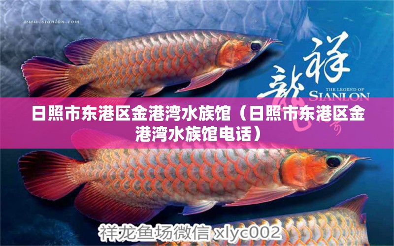 日照市东港区金港湾水族馆（日照市东港区金港湾水族馆电话）