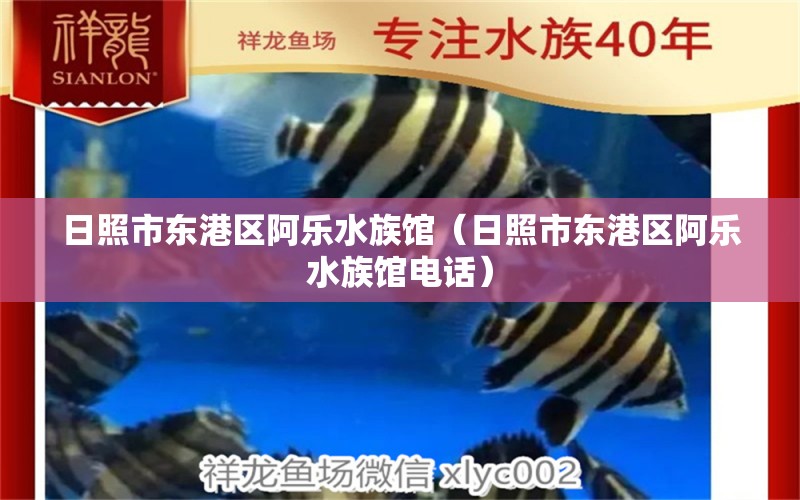 日照市东港区阿乐水族馆（日照市东港区阿乐水族馆电话） 全国水族馆企业名录