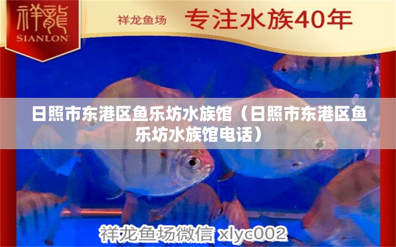 日照市东港区鱼乐坊水族馆（日照市东港区鱼乐坊水族馆电话） 全国水族馆企业名录