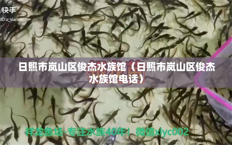 日照市岚山区俊杰水族馆（日照市岚山区俊杰水族馆电话） 全国水族馆企业名录