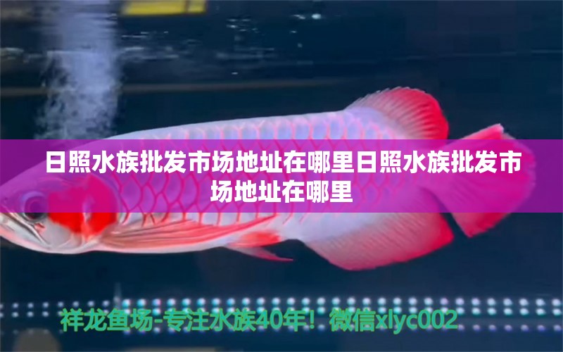 日照水族批发市场地址在哪里日照水族批发市场地址在哪里